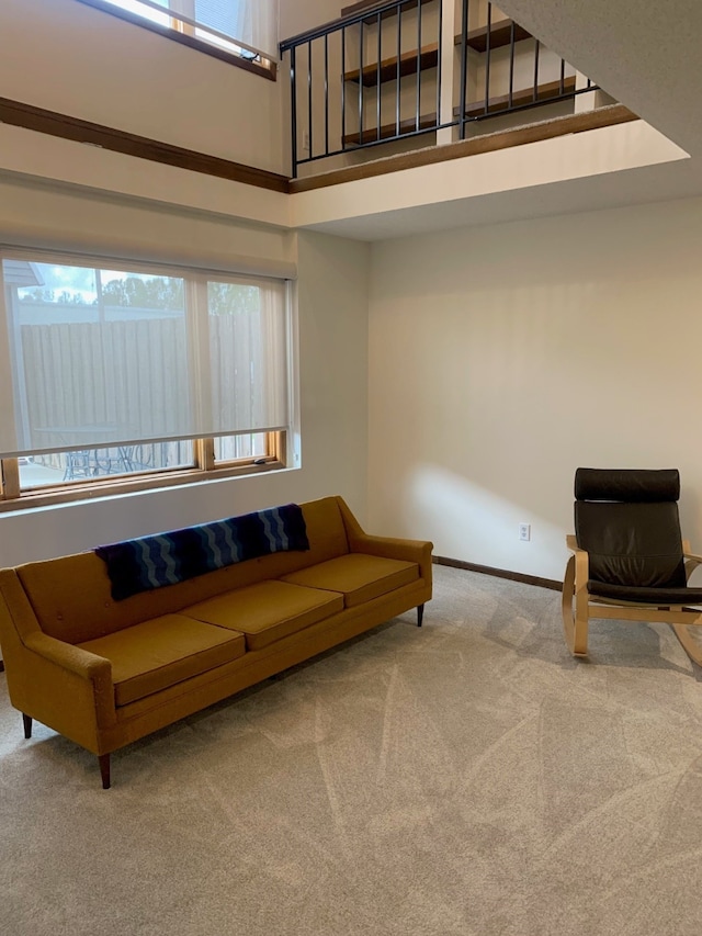 6750 School St Unit 1016, Windsor Heights, IA 50324 - carpeted living area featuring a wealth of natural light, baseboards, and a towering ceiling