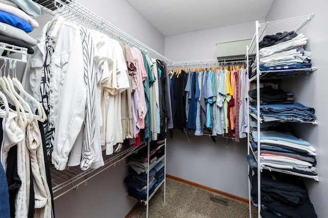 4110 140th St, Urbandale, IA 50323 - walk in closet with visible vents and carpet floors