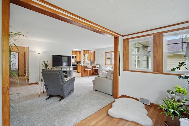 living area featuring baseboards, light wood-type flooring, and visible vents