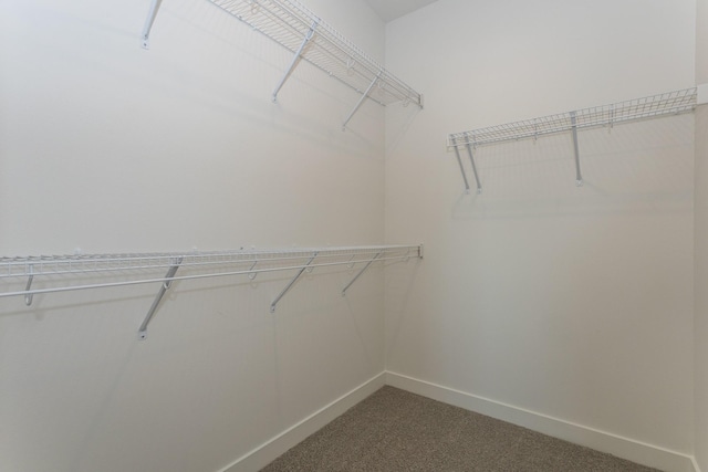 935 11th St, Waukee, IA 50263 - walk in closet featuring dark colored carpet