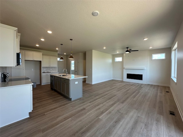 935 11th St, Waukee, IA 50263 - photo 7