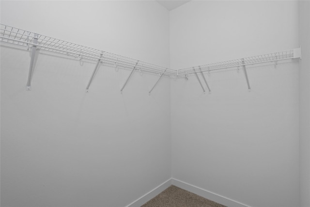 955 11th St, Waukee, IA 50263 - spacious closet featuring carpet