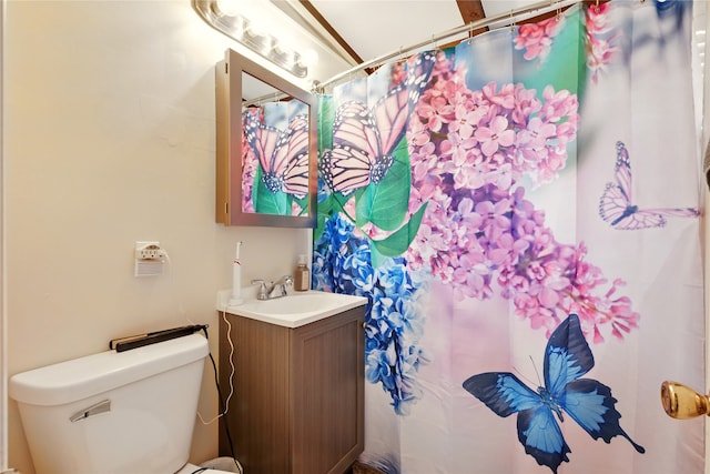 2216 Lay St, Des Moines, IA 50317 - bathroom with toilet, vanity, and a shower with shower curtain