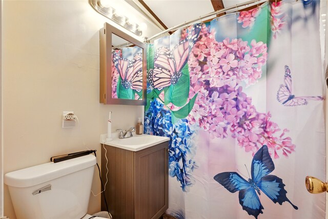 2216 Lay St, Des Moines, IA 50317 - bathroom featuring toilet and vanity