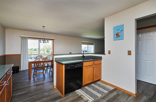 kitchen with brown cabinetry, black dishwasher, a healthy amount of sunlight, a sink, and dark wood-type flooring
