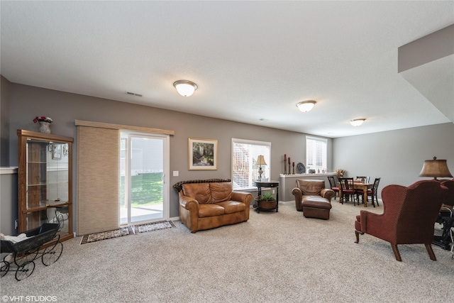 4522 145th St, Urbandale, IA 50323 - carpeted living room featuring visible vents