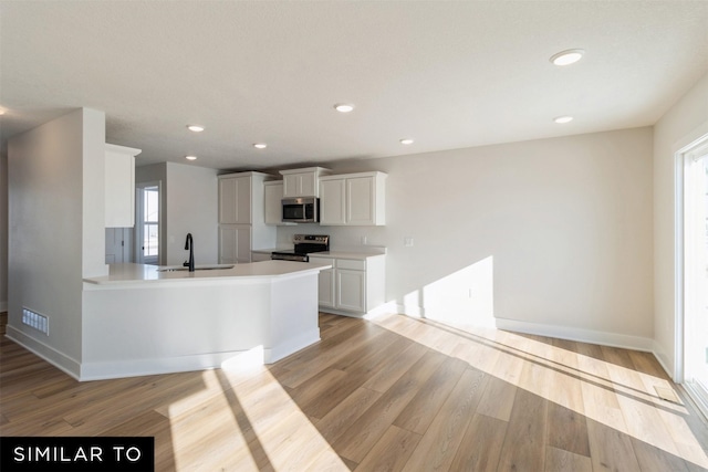 4112 NE 5th St, Ankeny, IA 50021 - kitchen featuring a sink, light wood-style flooring, light countertops, and appliances with stainless steel finishes
