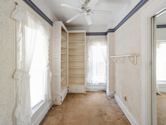325 W 8th St S, Newton, IA 50208 - spacious closet with light carpet and a ceiling fan