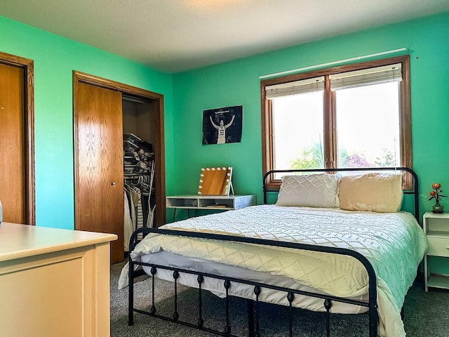 917 SE Allyn St, Ankeny, IA 50021 - view of carpeted bedroom
