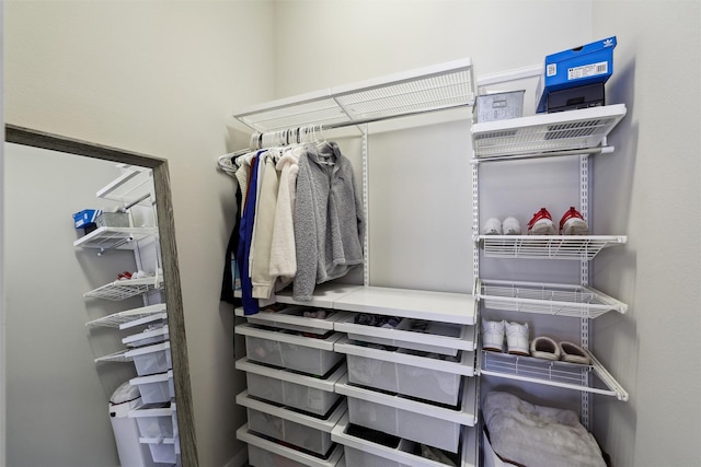 view of walk in closet