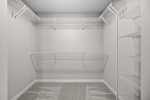 spacious closet with carpet floors