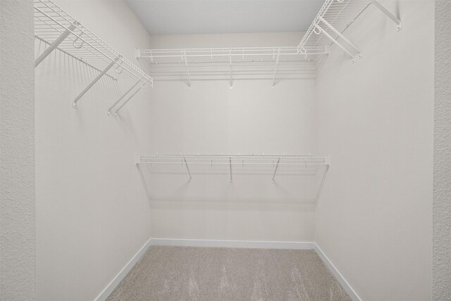 4408 Honey Bee Rdg, Des Moines, IA 50317 - walk in closet with light colored carpet