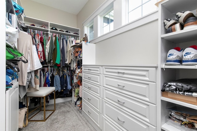 3316 NW 27th St, Ankeny, IA 50023 - spacious closet featuring carpet