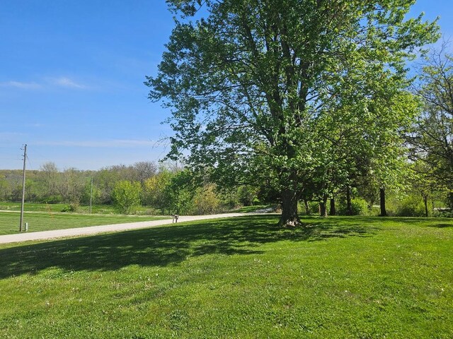 1991 190th Ave, Osceola, IA 50213 - view of green lawn