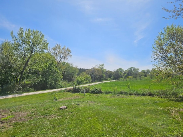 1991 190th Ave, Osceola, IA 50213 - view of yard with a view of trees and a rural view