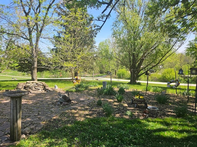 1991 190th Ave, Osceola, IA 50213 - view of green lawn