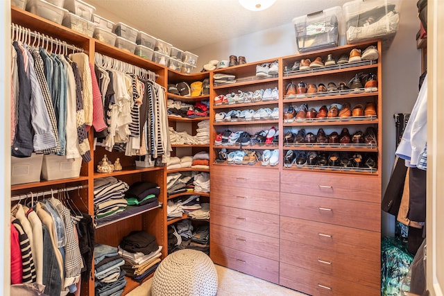 9257 Sugar Creek Dr, West Des Moines, IA 50266 - view of walk in closet