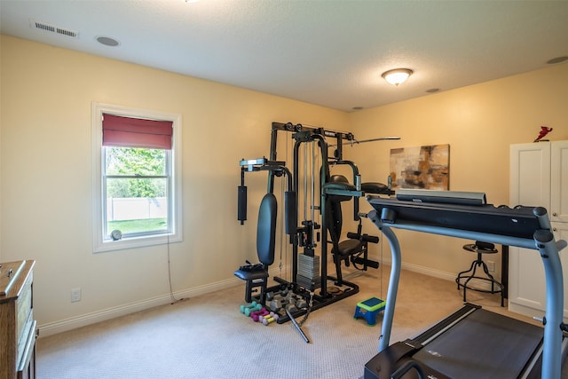 9257 Sugar Creek Dr, West Des Moines, IA 50266 - exercise area featuring carpet flooring and baseboards