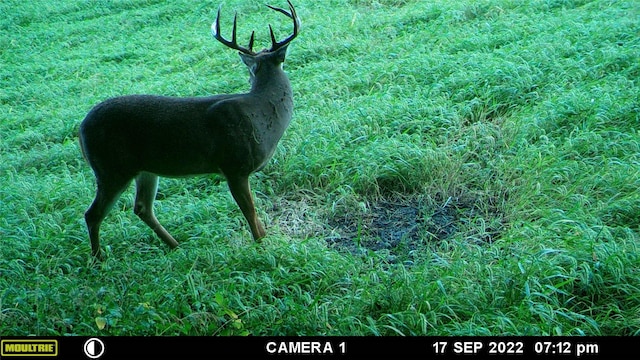 RR Millstream Ave, Winterset, IA 50273