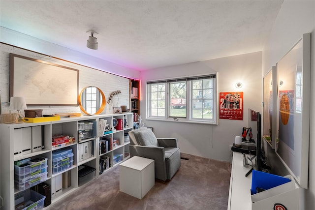 sitting room featuring carpet and a textured ceiling