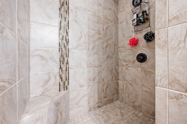 235 Emerson Ln, Waukee, IA 50263 - full bathroom with a tile shower