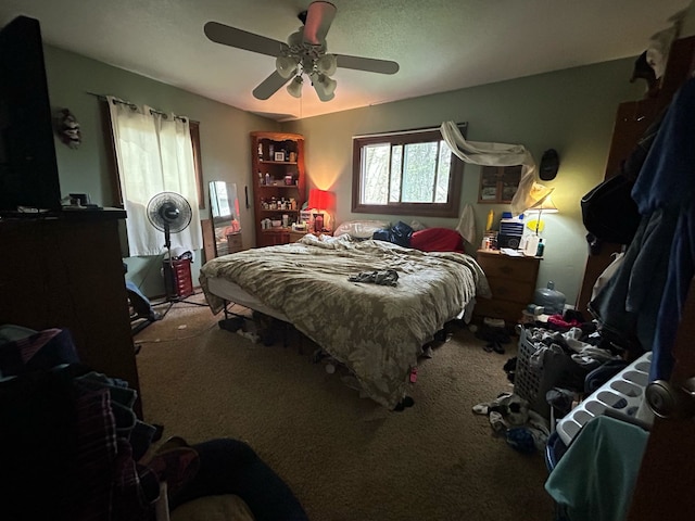 626 W Main St, Panora, IA 50216 - bedroom with carpet and a ceiling fan