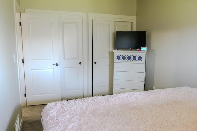 4917 Richmond Ave, Des Moines, IA 50317 - bedroom featuring carpet floors and a closet