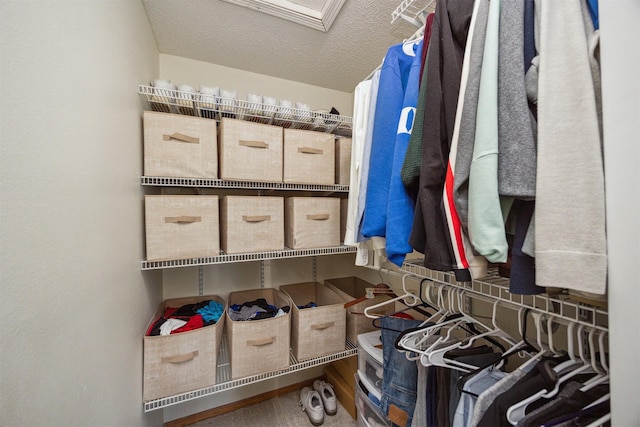 15919 Hawthorn Cir, Clive, IA 50325 - view of storage room