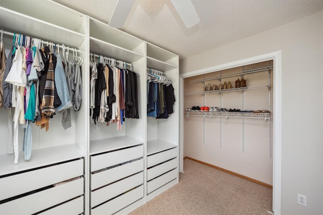 15919 Hawthorn Cir, Clive, IA 50325 - walk in closet featuring light colored carpet