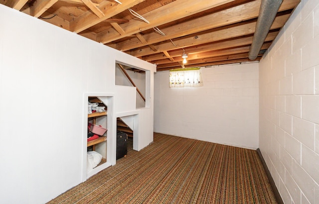 basement featuring concrete block wall