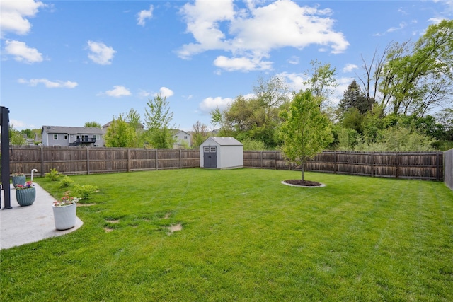view of yard featuring a storage shed, an outdoor structure, and a patio