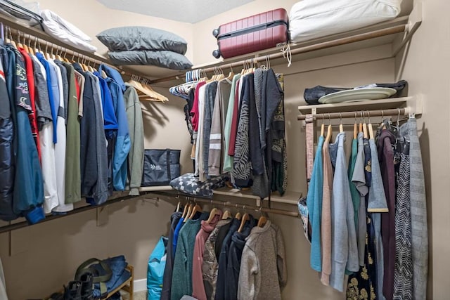 312 Evergreen Dr NW, Bondurant, IA 50035 - view of walk in closet