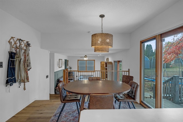 dining room with wood finished floors, a ceiling fan, and baseboards