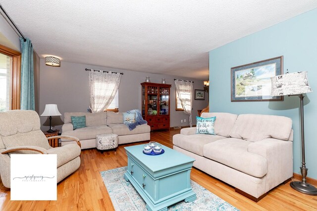 6404 Meredith Dr, Urbandale, IA 50322 - living room featuring light wood-style floors and a textured ceiling