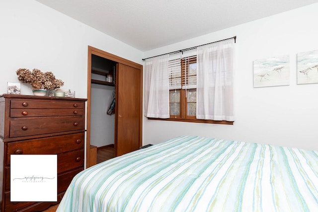 6404 Meredith Dr, Urbandale, IA 50322 - bedroom with a closet