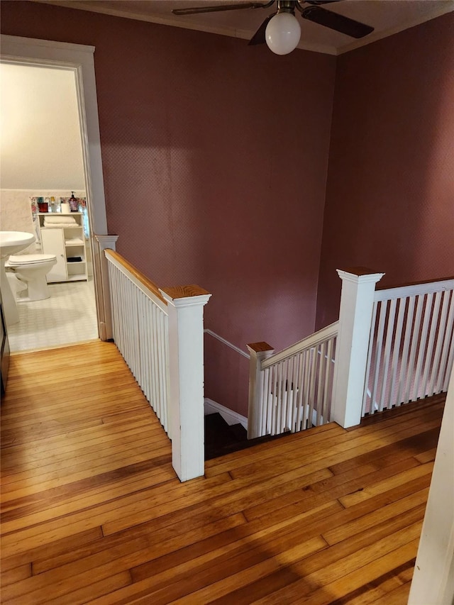 903 Greene St, Adel, IA 50003 - stairway with hardwood / wood-style floors and ceiling fan