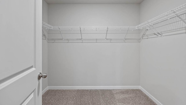 1415 Northview Dr, Waukee, IA 50263 - walk in closet with carpet flooring
