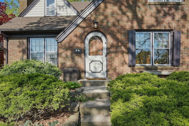1534 41st St, Des Moines, IA 50311 - view of exterior entry with a chimney, a shingled roof, and brick siding
