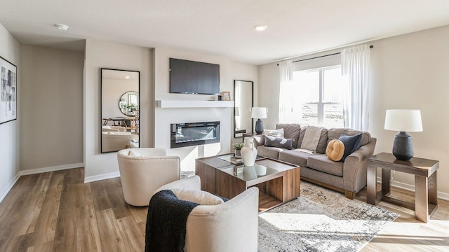 living room with wood finished floors, baseboards, and a glass covered fireplace