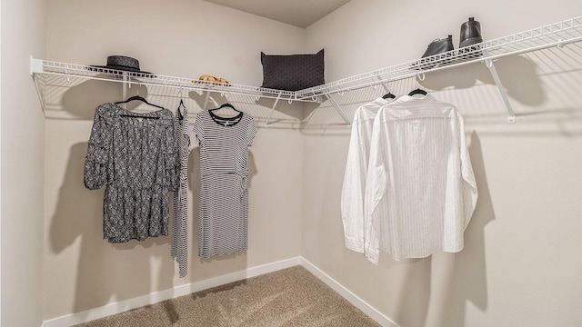 walk in closet featuring carpet