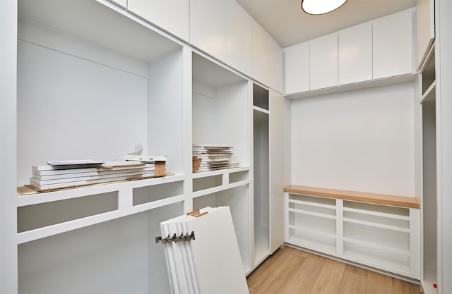4727 Hillsdale Dr, Urbandale, IA 50322 - spacious closet featuring light wood-style floors