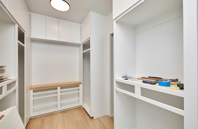 4727 Hillsdale Dr, Urbandale, IA 50322 - spacious closet featuring light wood-type flooring