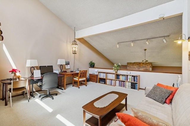 3919 Burr Oak Ln, Ames, IA 50014 - carpeted office space with rail lighting, a ceiling fan, and lofted ceiling