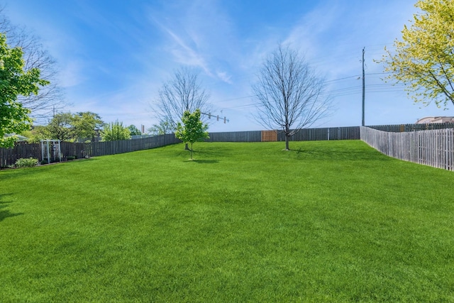 1249 NW 108th Cir, Clive, IA 50325 - view of yard