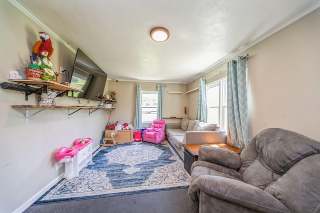 1523 Allison Ave, Des Moines, IA 50314 - sitting room featuring baseboards, ornamental molding, and a textured ceiling