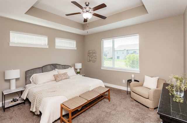 501 SE 15th St, Grimes, IA 50111 - bedroom with a tray ceiling, carpet flooring, and ceiling fan