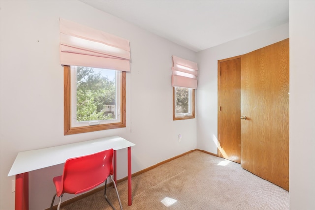 4727 80th Pl, Urbandale, IA 50322 - office space featuring carpet floors and baseboards