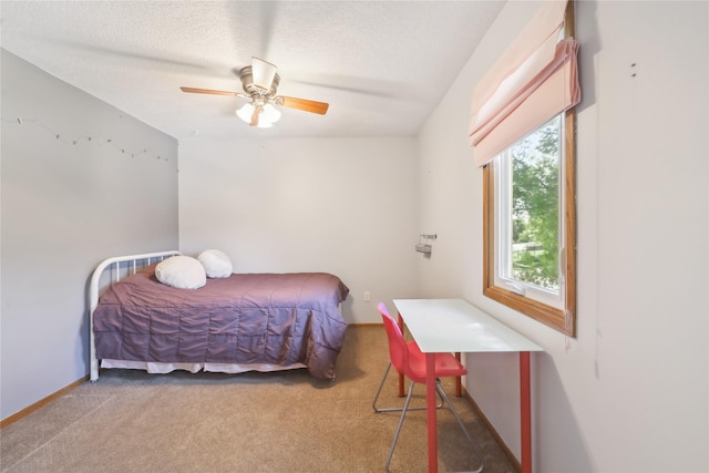 4727 80th Pl, Urbandale, IA 50322 - bedroom with carpet, ceiling fan, and a textured ceiling
