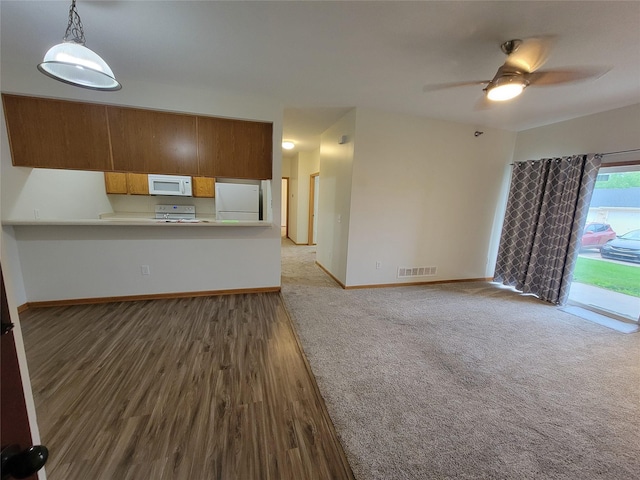 1210 NE 6th Ln Unit I9, Ankeny, IA 50021 - unfurnished living room with ceiling fan and wood finished floors