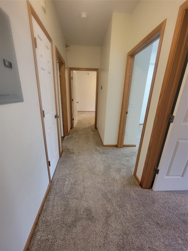 1210 NE 6th Ln Unit I9, Ankeny, IA 50021 - hall with carpet and electric panel